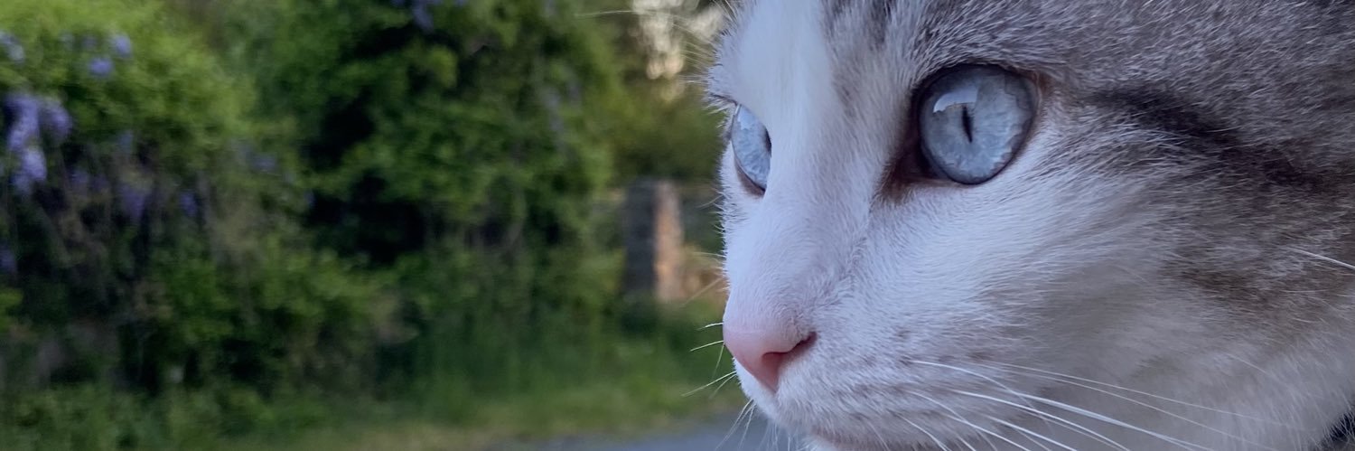 rinvufix's profile banner image