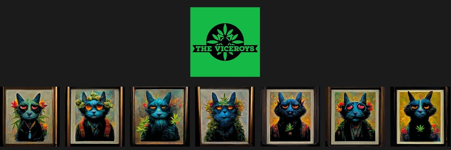 viqqn's profile banner image