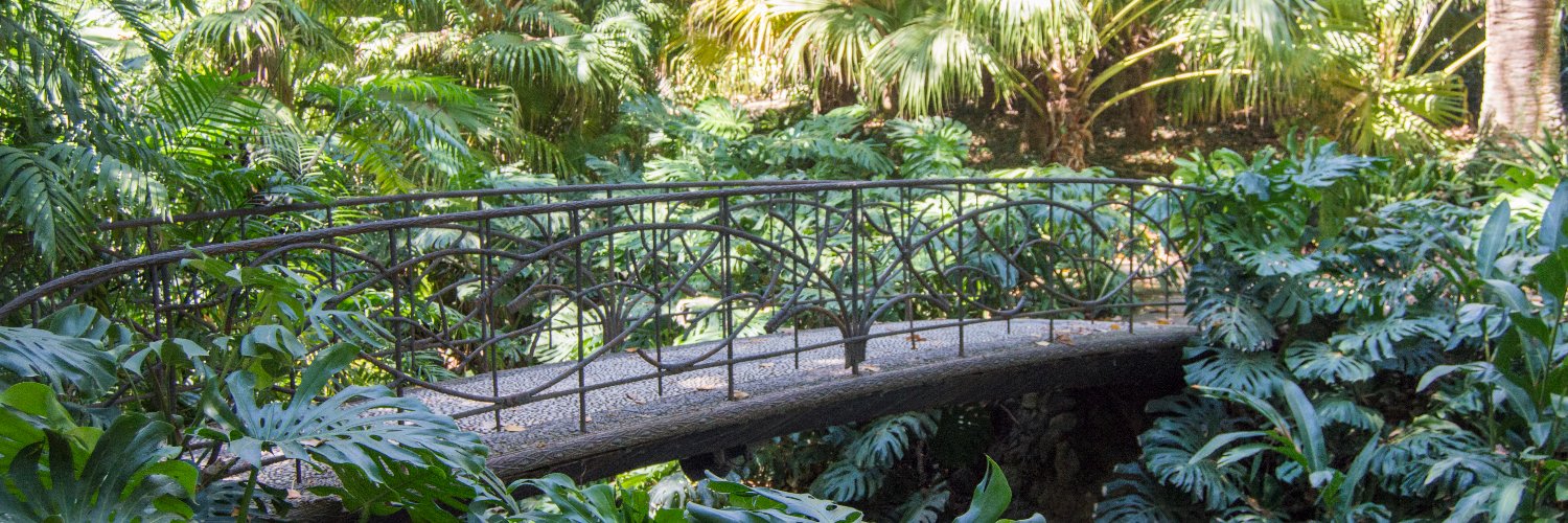 Eva María Corrales S. banner