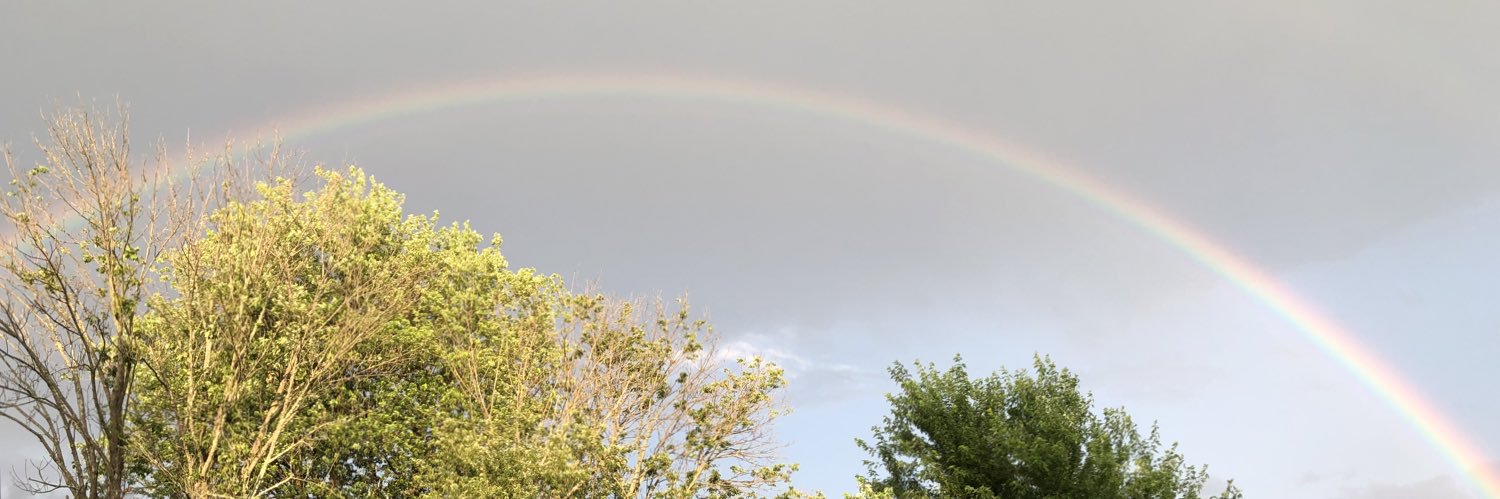 littleargue's profile banner image