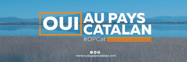 ouiaupayscat Profile Banner