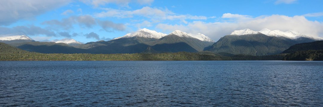 Herwig Mannaert banner