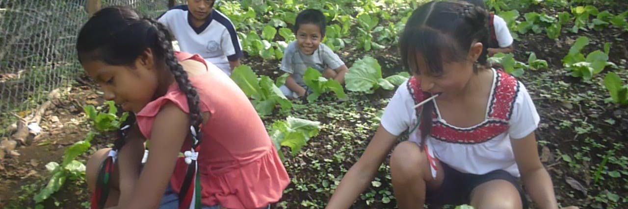 funainhidalgo's profile banner image