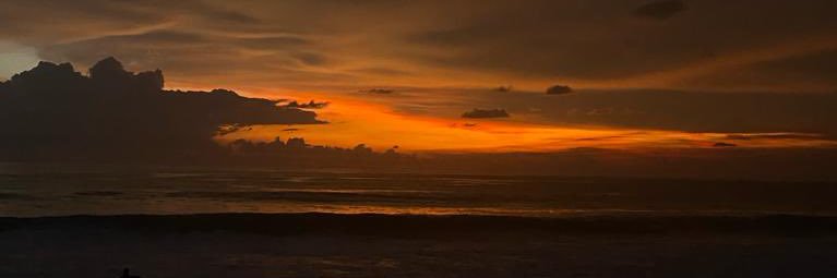 sandra uresti banner