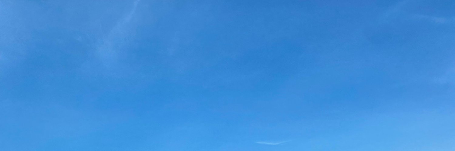 🕊️ banner