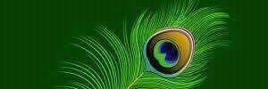 CtjpCmi's profile banner image