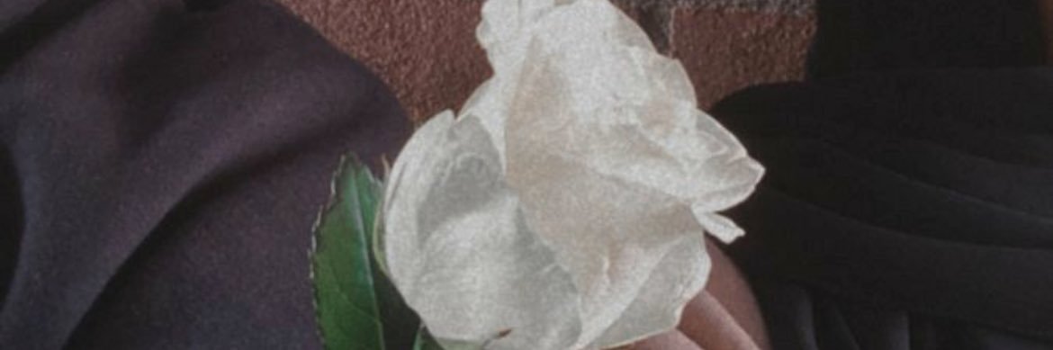 fy2b1's profile banner image