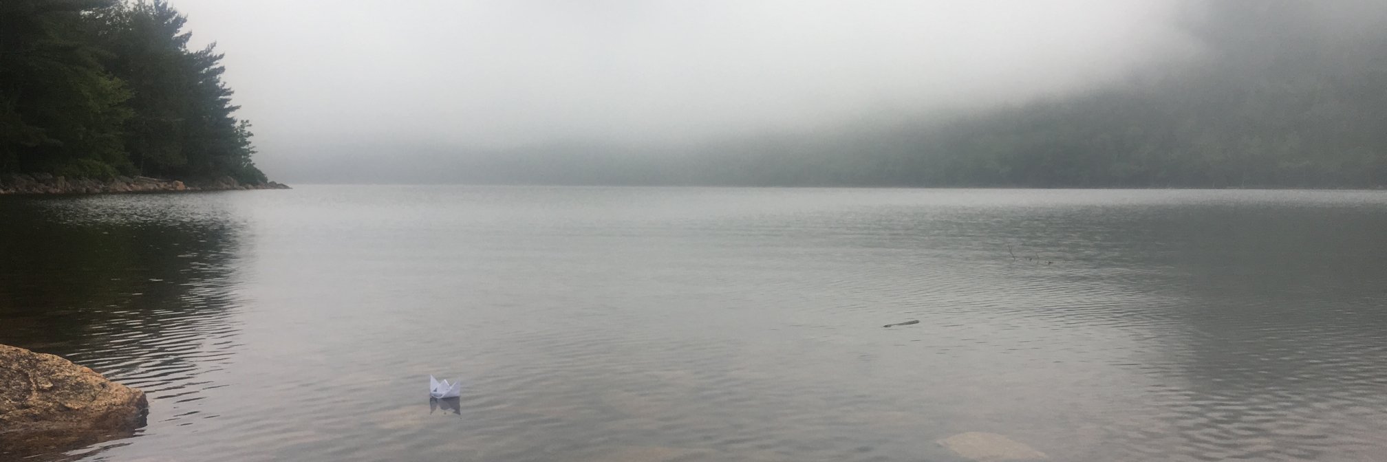 Mayank Agarwal banner