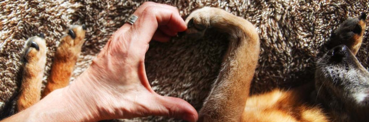 🥂Beach Life🏖🌊🏝 banner