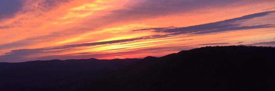 Maggie Guterl banner