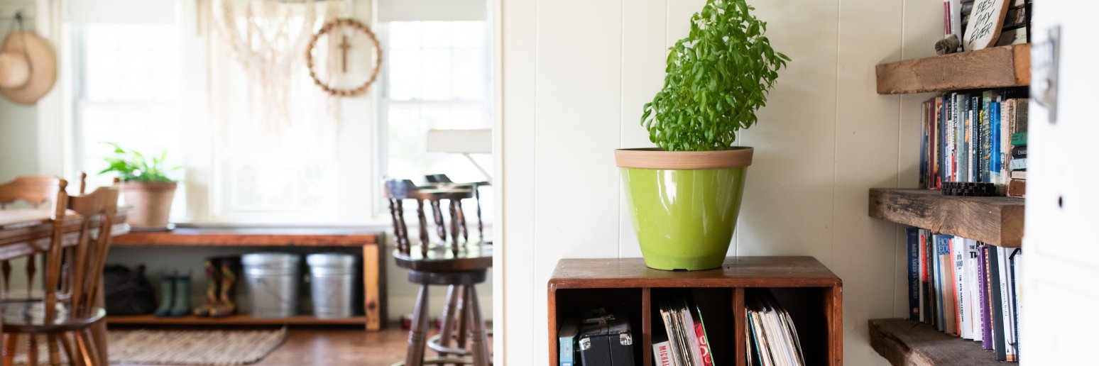 greencdesign's profile banner image