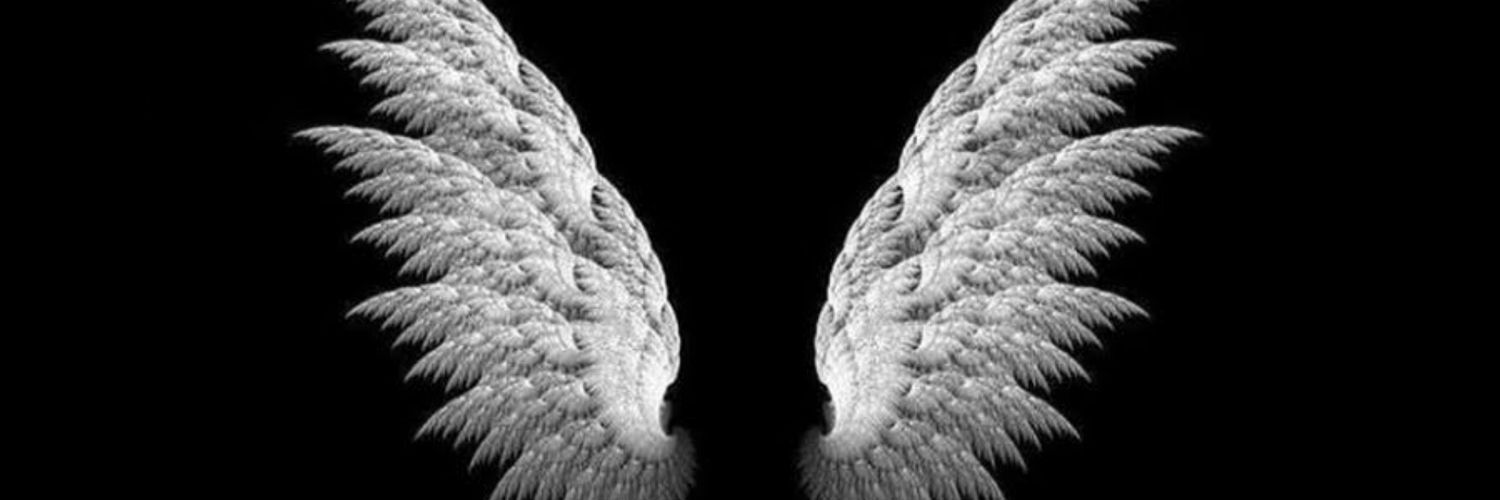 aygulldmrr's profile banner image