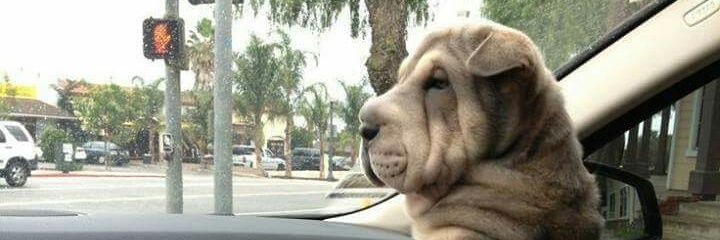 ayerh_naa's profile banner image
