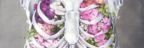 BelieberFodevah's profile banner image