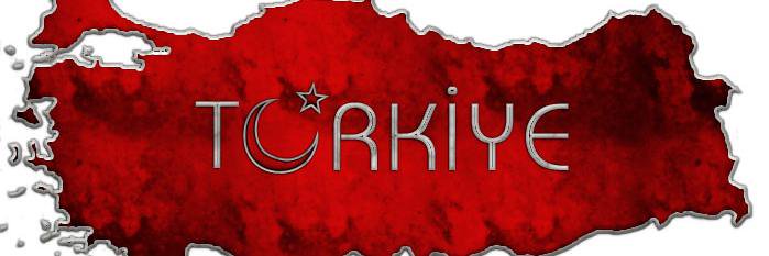 barbaraherhalde's profile banner image