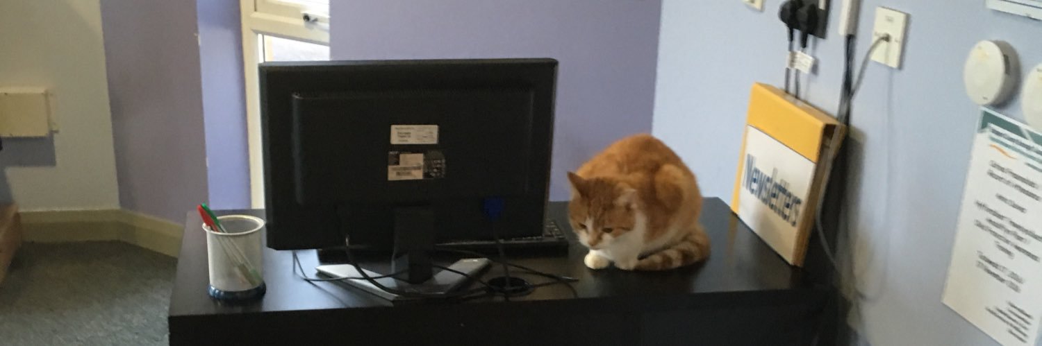 debsimmons2's profile banner image