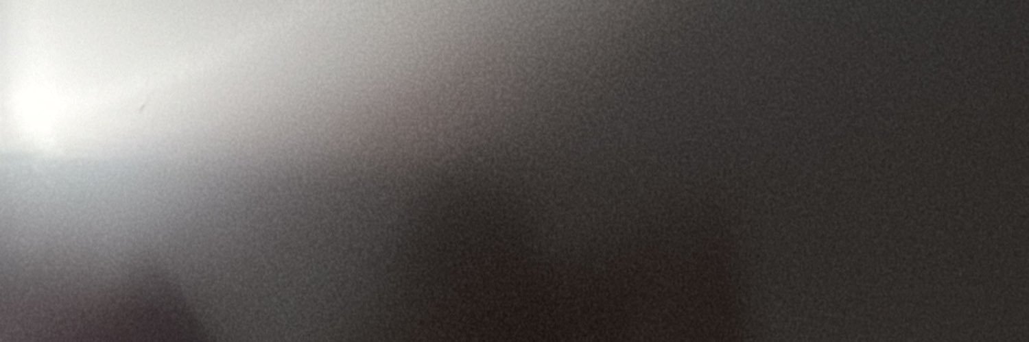 1690Silmu's profile banner image