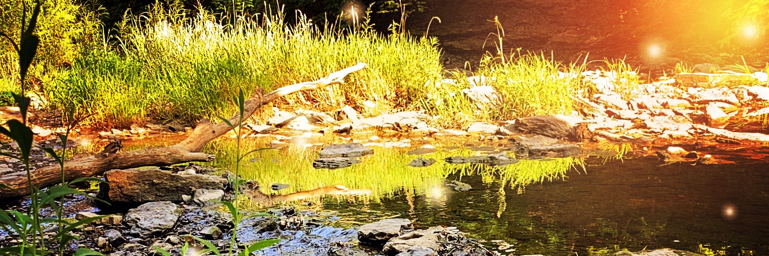 alta03's profile banner image