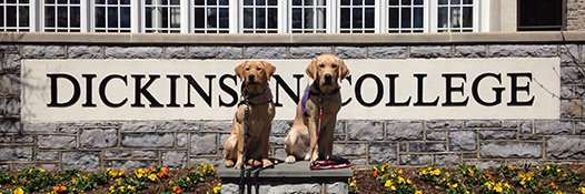 NickatDson's profile banner image