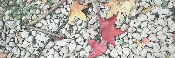 andybelv's profile banner image