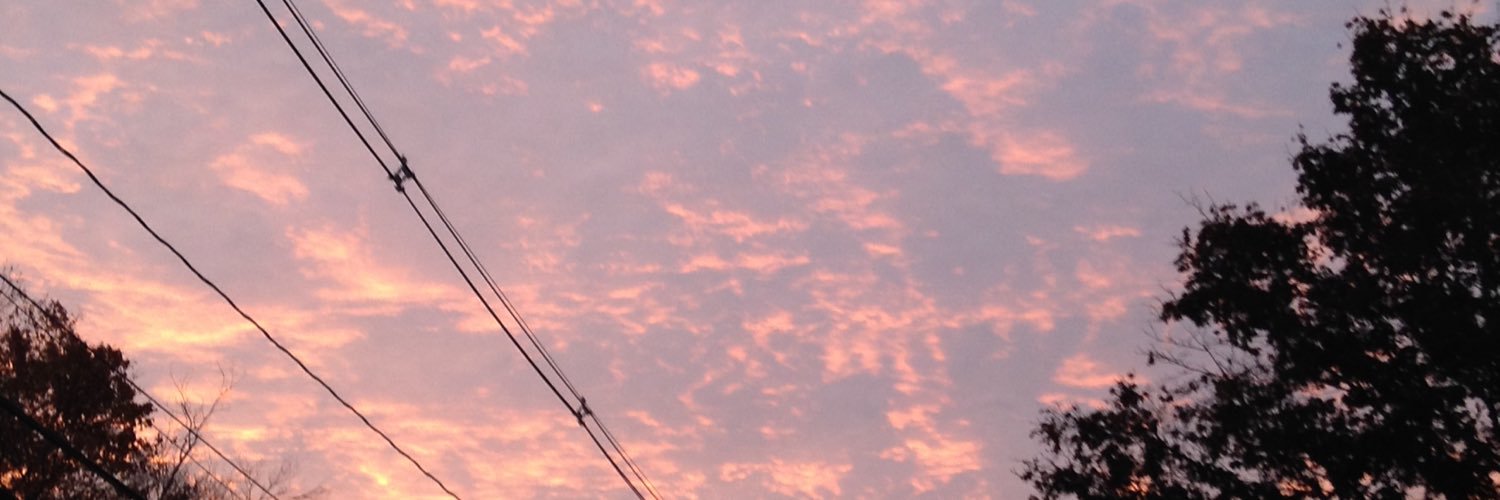 SofiiaAndSteph's profile banner image