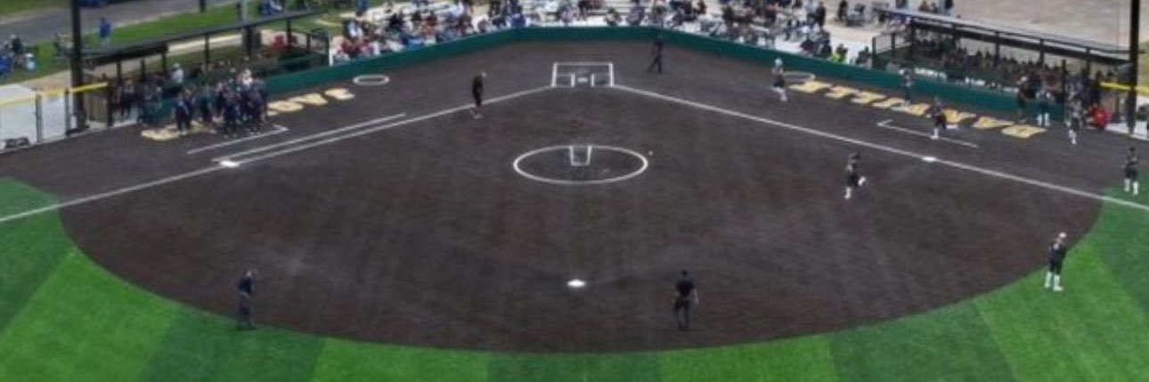 Danville Area Community College Softball banner