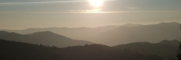 sashkobalega Profile Banner