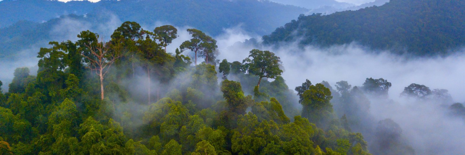 Mighty Earth 🌍 banner