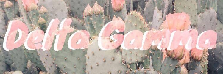 ASU Delta Gamma banner