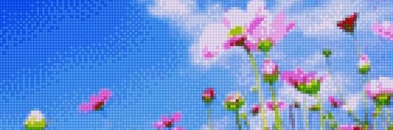 somik's banner