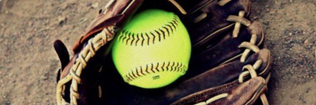 Calvary Day School Softball banner