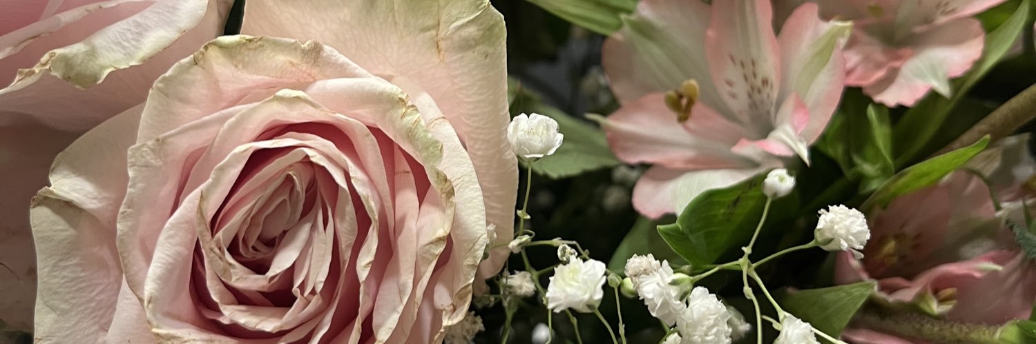 emgillaspy's profile banner image