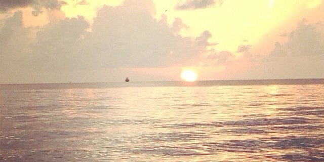 Jennylla's profile banner image
