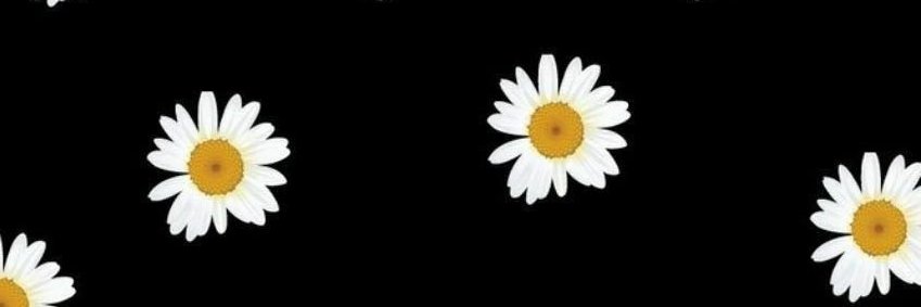 Guadifernandezz's profile banner image