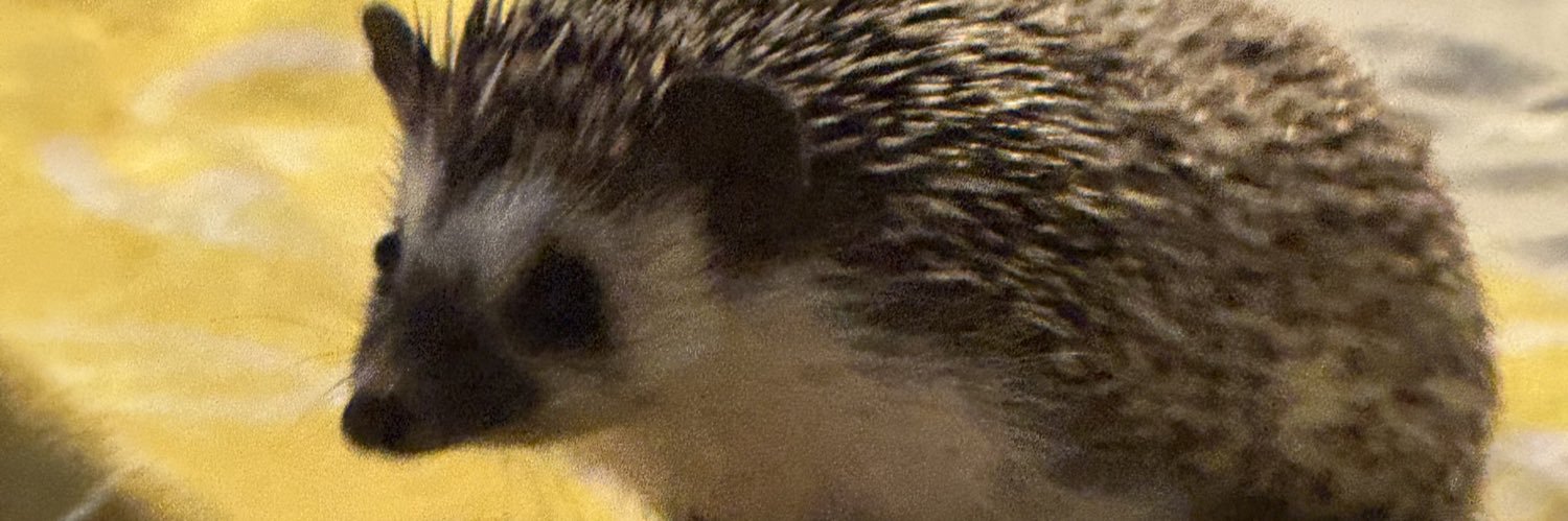 Kakoneirophobia's profile banner image
