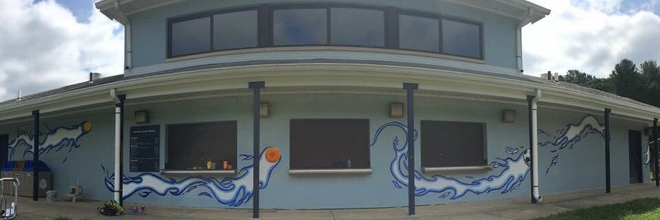 Springbrook Boosters banner