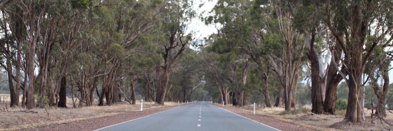 AA_NZ's profile banner image