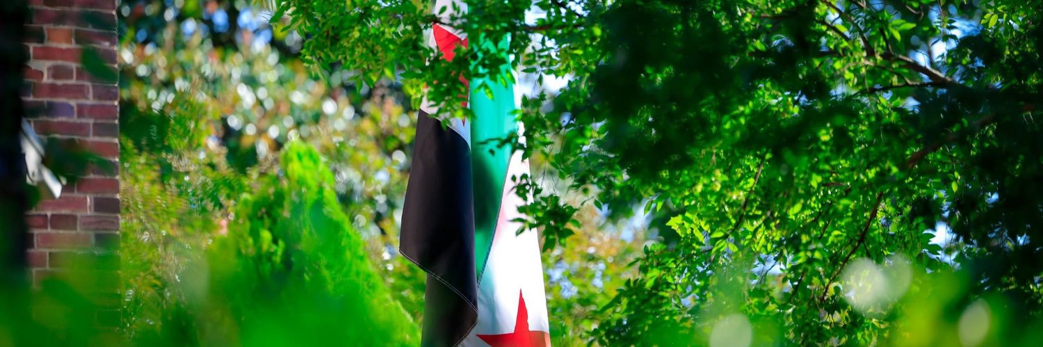 Ramzy Abdulhameed banner