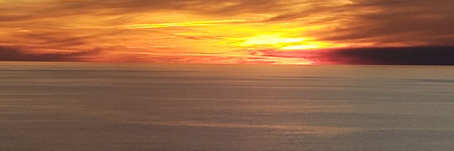 MotesPatricia's profile banner image