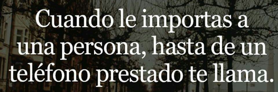 salcedo_nelson's profile banner image