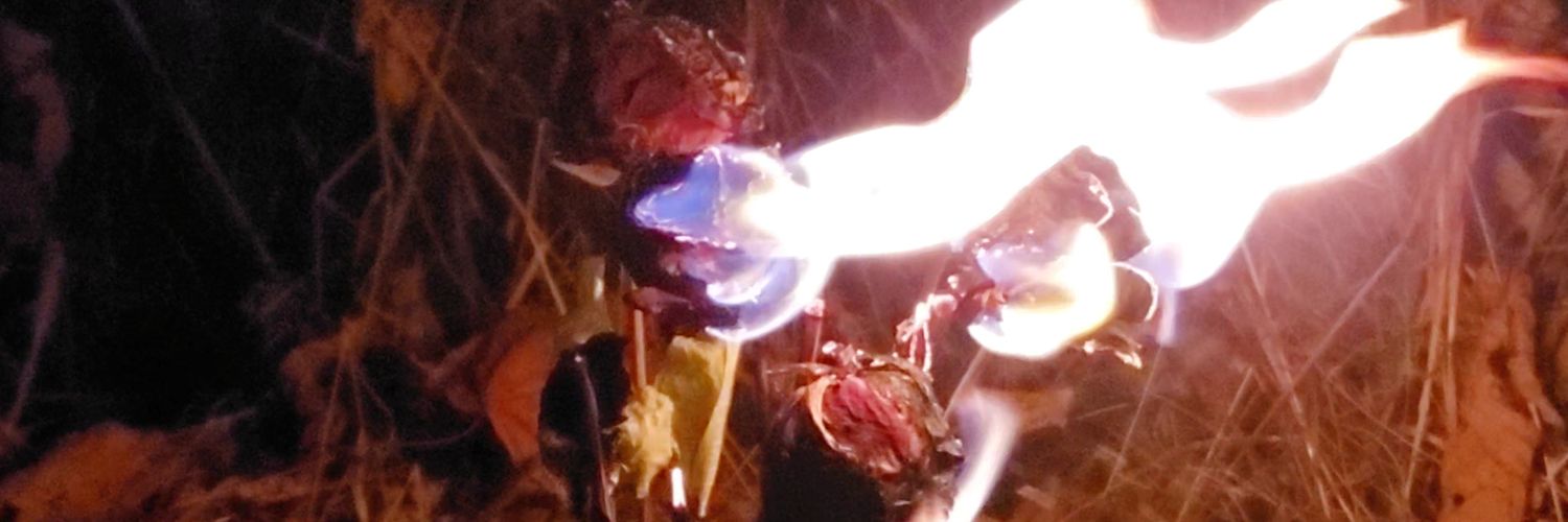 FelidaeFae's profile banner image