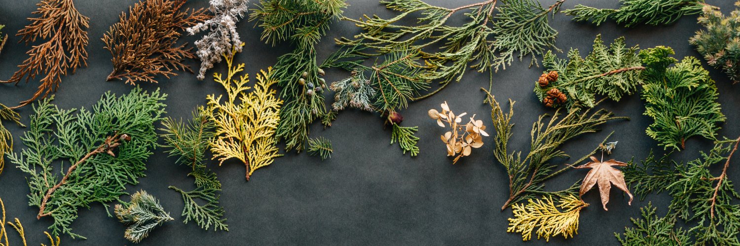 Jess Jelsma Masterton banner