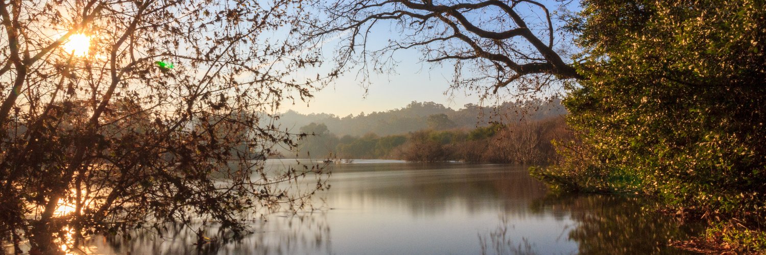 Anxo Fernández Dopico banner