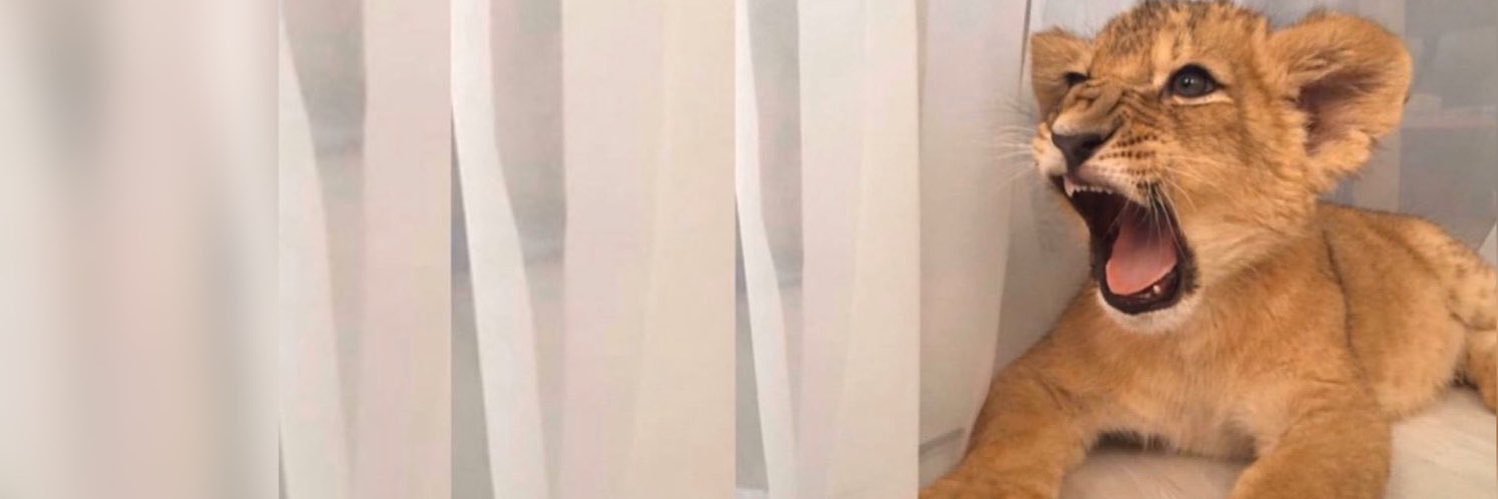 ali_i77's profile banner image