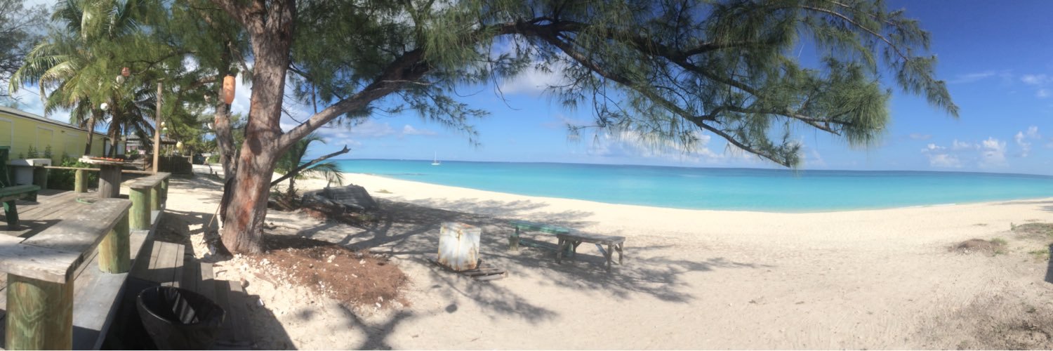 Mrs. Snodderly banner