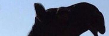 63es1's profile banner image