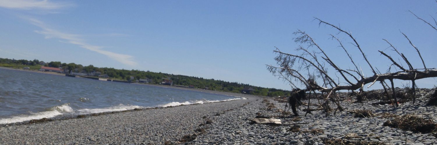 MaxBelliveau's profile banner image