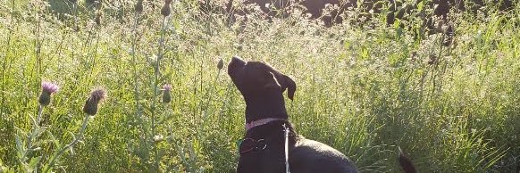 BecBrogan's profile banner image
