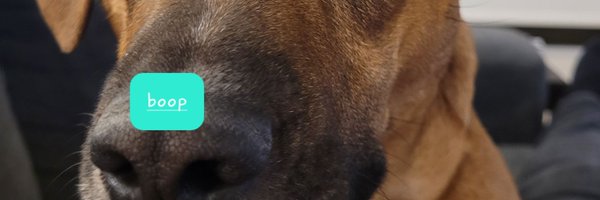 braunovan Profile Banner