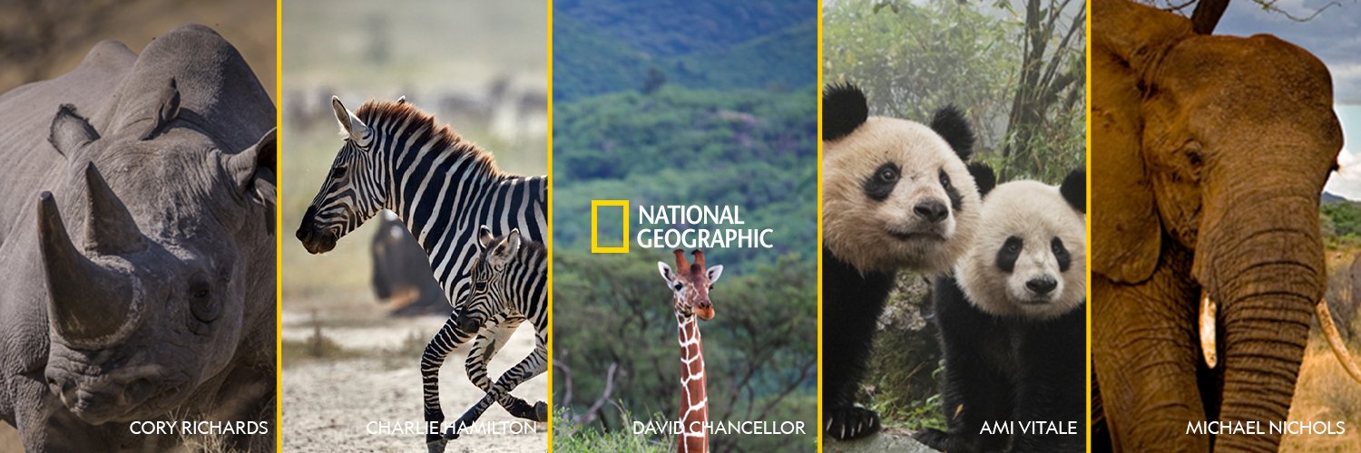 Nat Geo India's banner